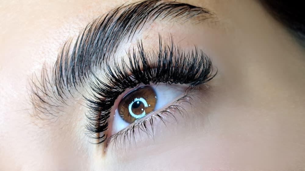 Close-up of a woman's eye showcasing full, defined hybrid brows paired with a lifted and curled lash look, highlighting the enhanced volume and shape.